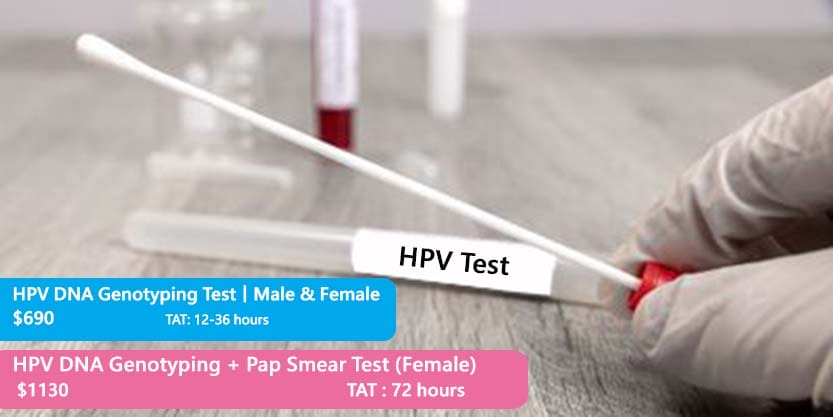 Hpv Tests For Genital Warts And Cervical Health